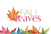 6 Colourful Fall Leaves