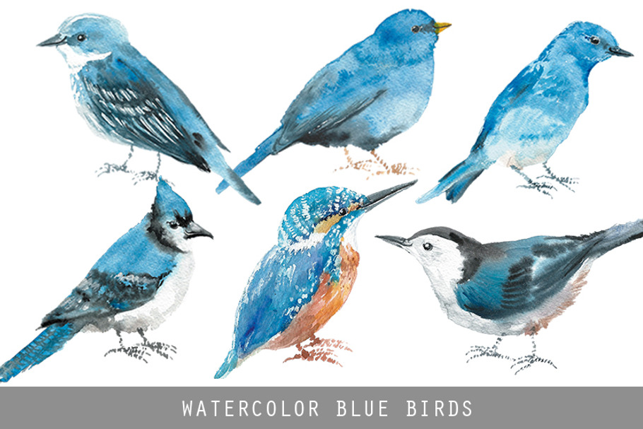 Watercolor blue birds