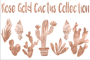 Rose gold cactus collection