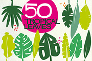 50 tropical leaves in vector