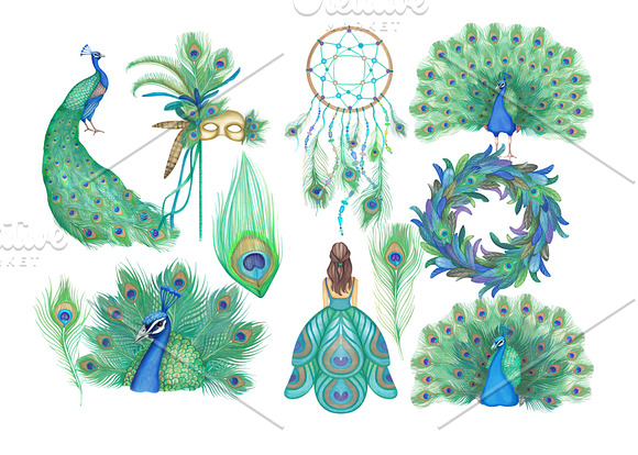 Watercolor Peacock Clipart Images in Illustrations - product preview 2