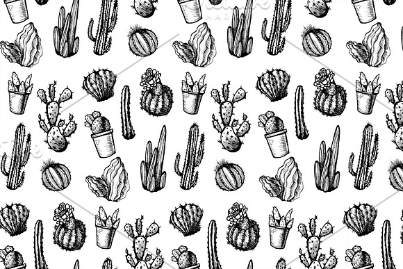 Mexican Cactus Patterns in Patterns - product preview 2