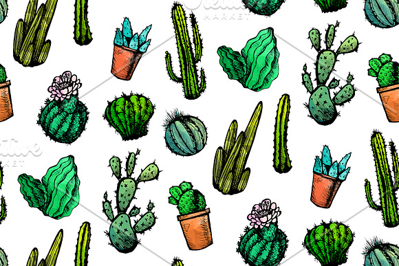 Mexican Cactus Patterns in Patterns - product preview 3