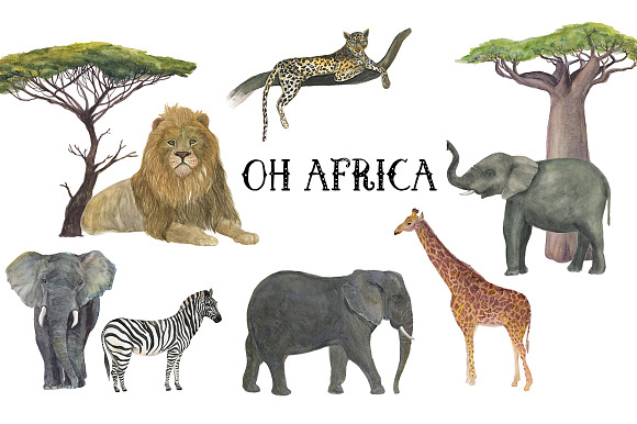 Oh Africa in Illustrations - product preview 2