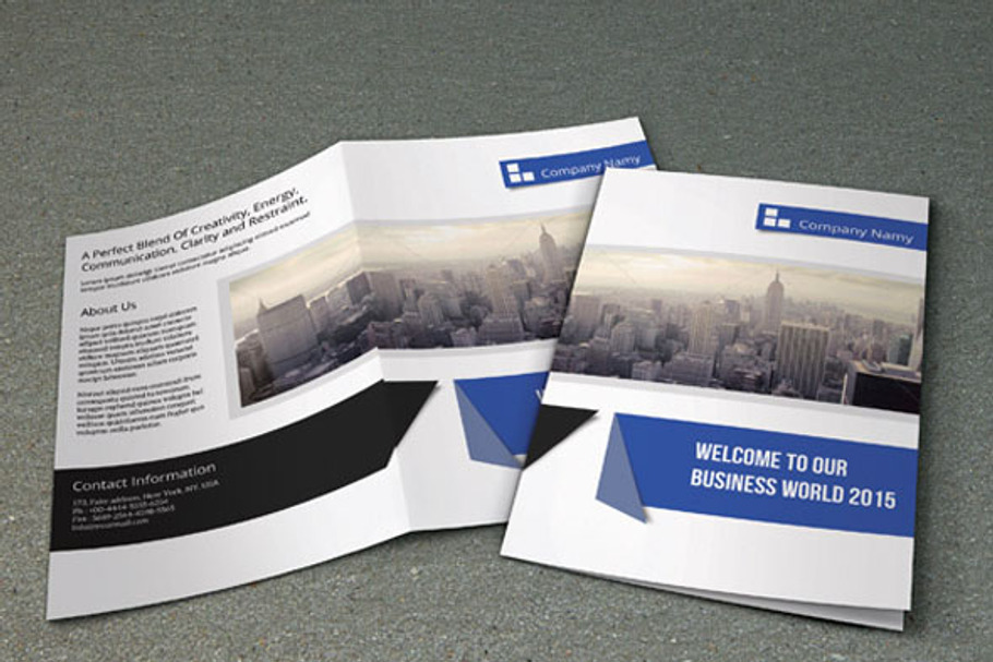 Multipurpose business brochure-V63 in Brochure Templates - product preview 8