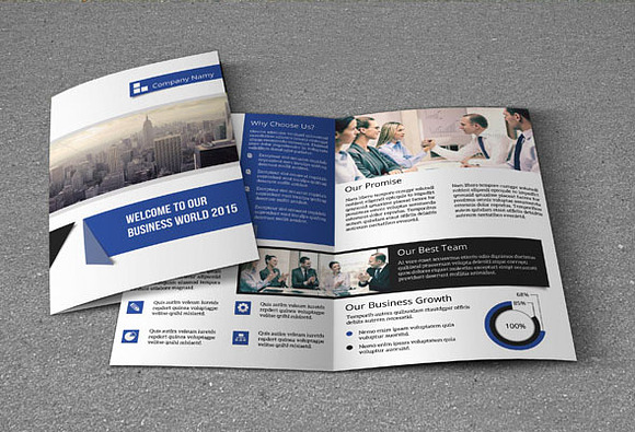 Multipurpose business brochure-V63 in Brochure Templates - product preview 1