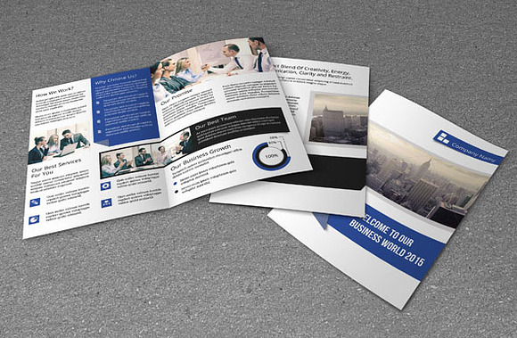 Multipurpose business brochure-V63 in Brochure Templates - product preview 3