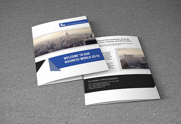 Multipurpose business brochure-V63 in Brochure Templates - product preview 4