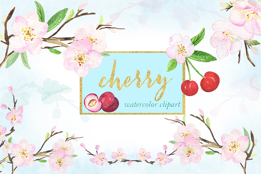 Cherry. Waterolor clipart.