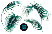 Tropical palm leaves illustrations