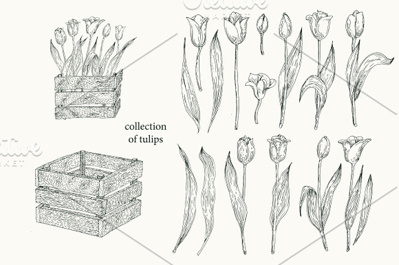 Gardening Vector Collection in Illustrations - product preview 2