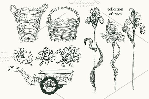 Gardening Vector Collection in Illustrations - product preview 3