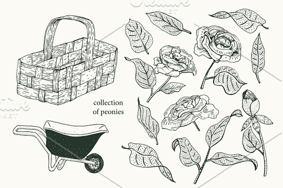 Gardening Vector Collection in Illustrations - product preview 4