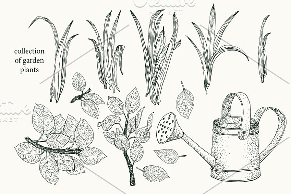 Gardening Vector Collection in Illustrations - product preview 5