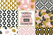 Tropical leaves and geometry
