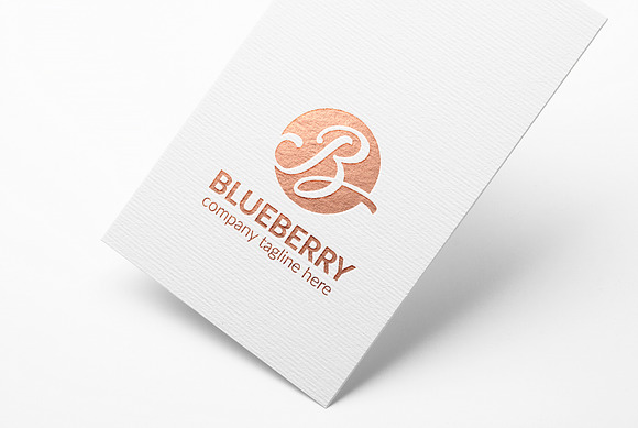 Blueberry Letter B Logo in Logo Templates - product preview 3