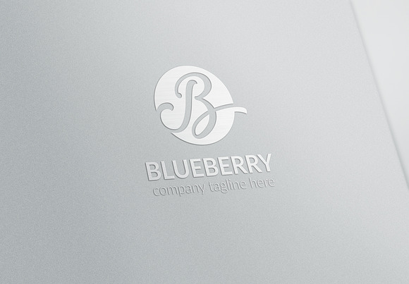 Blueberry Letter B Logo in Logo Templates - product preview 4