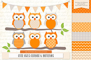 Owls Clipart & Patterns in Tangerine