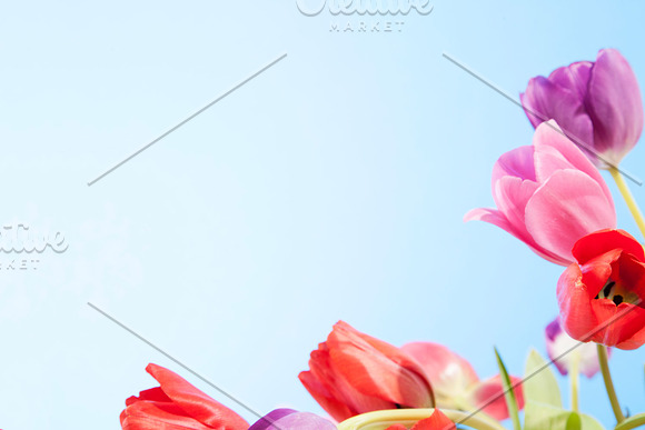 20 Easter Stock Photos - 81% OFF in Add-Ons - product preview 17