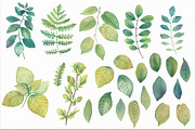 50% OFF Watercolor leaves & branches