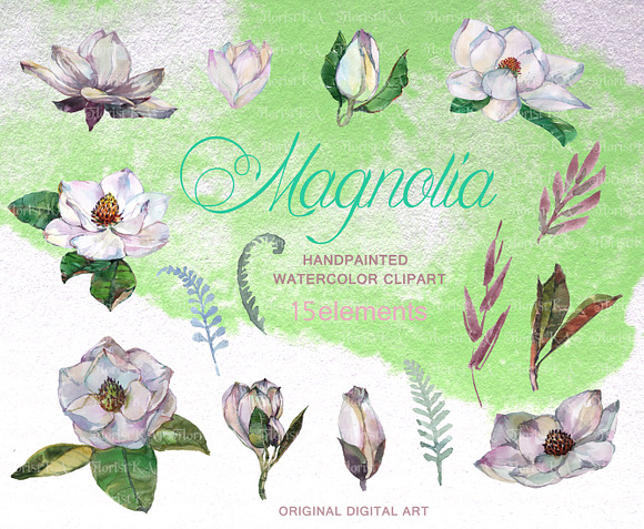 Magnolia Watercolor Clip art F-22 in Objects - product preview 3