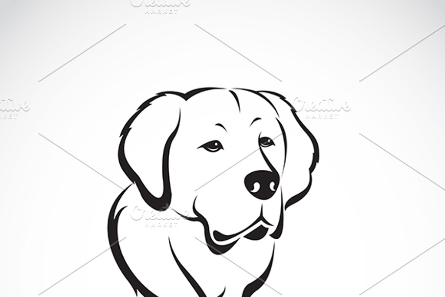 Vector of golden retriever. in Graphics - product preview 8