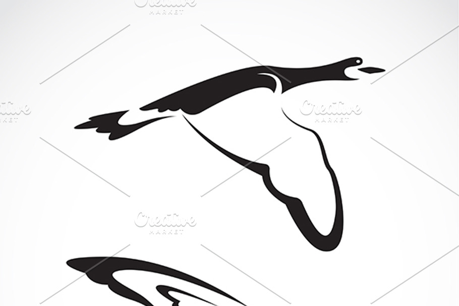 Vector of a flying wild duck. in Graphics - product preview 8