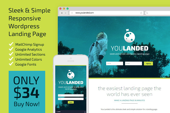 You Landed - Wordpress Landing Page in WordPress Landing Page Themes - product preview 2