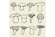 Set with a variety of vintage mushrooms.