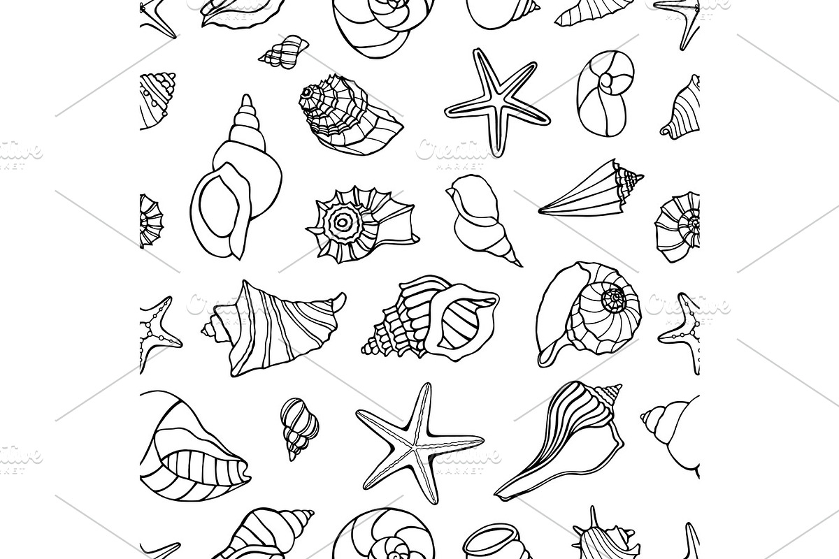 Sea shells collection in Illustrations - product preview 8