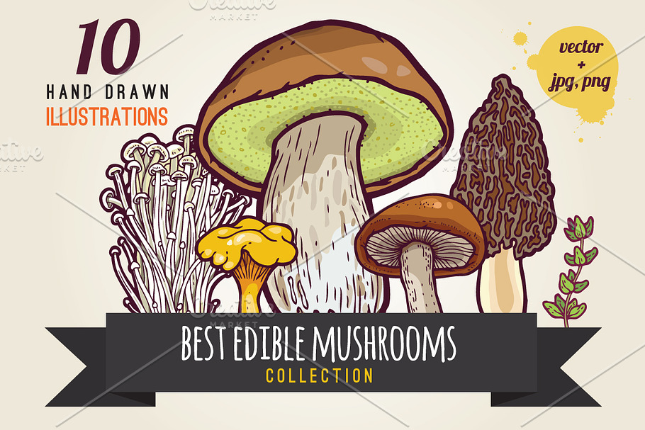 Hand drawn mushrooms collection.