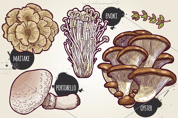 Hand drawn mushrooms collection. in Illustrations - product preview 2