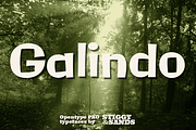 Galindo Pro