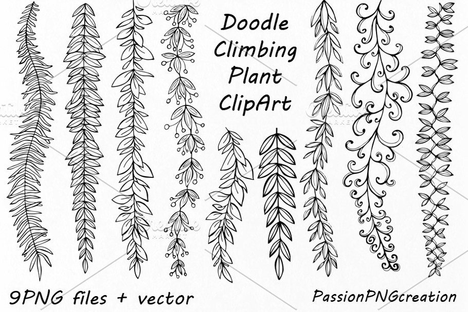 Doodle Climbing Plant ClipArt