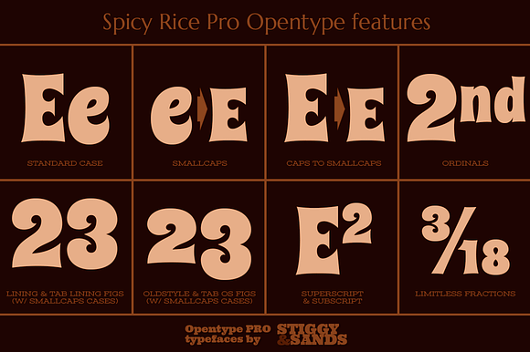 Spicy Rice Pro in Display Fonts - product preview 3