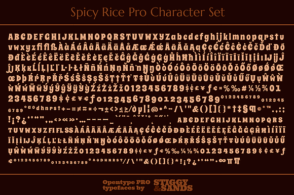 Spicy Rice Pro in Display Fonts - product preview 4
