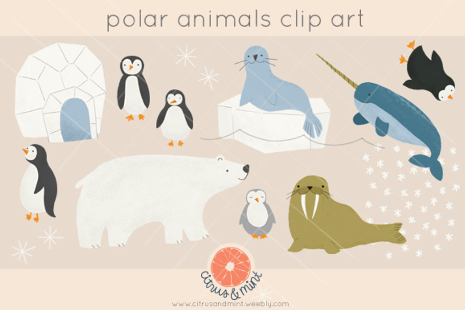 Polar Animals Clip Art in Illustrations - product preview 8