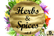 Herbs and Spices digital art - 15pcs