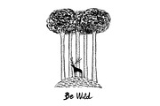 Be Wild