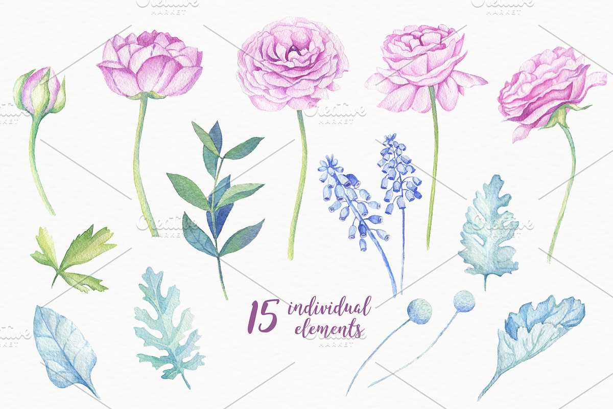 Ranunculus &Anemones Flowers in Illustrations - product preview 8