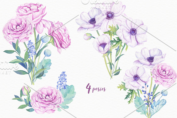 Ranunculus &Anemones Flowers in Illustrations - product preview 3