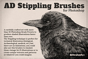 AD Stippling Brushes for Photoshop