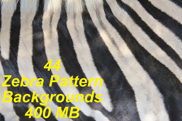 44 Zebra Pattern Background Stripes