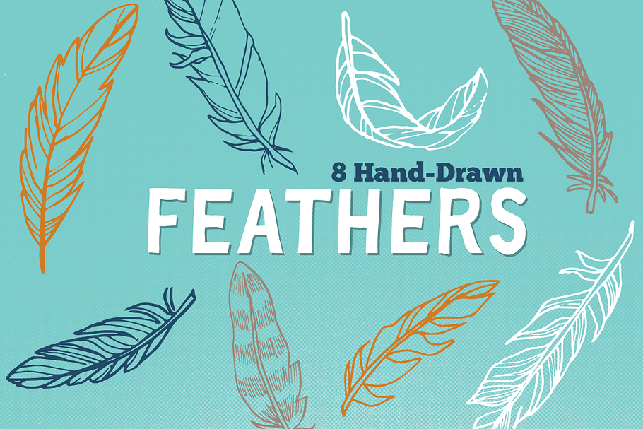 Vector Hand Drawn Feathers