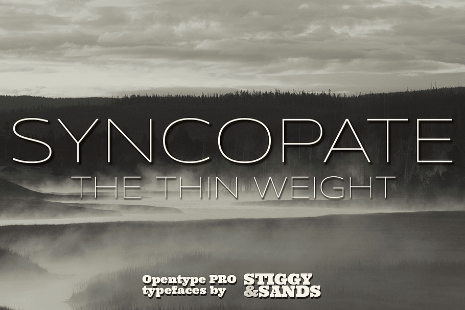 Syncopate Pro Thin in Display Fonts - product preview 8