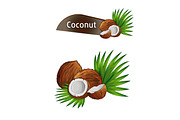 Coconut with half and green palm leaves set