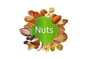 Various nuts round isolated composition