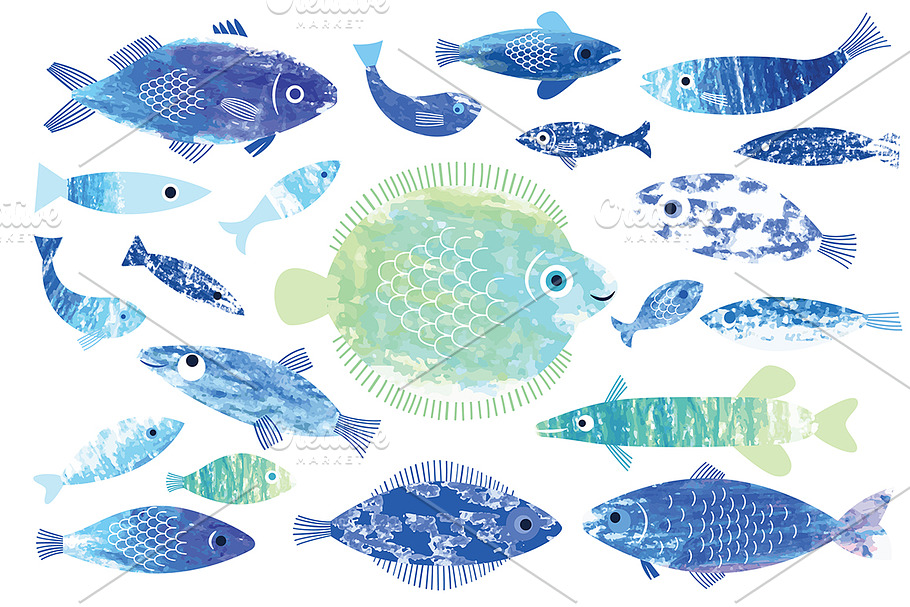 Fish Collection in Illustrations - product preview 8