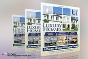Luxury Homes Real Estate Flyer