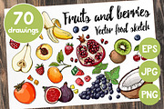 Fruits. Berries. Vector food sketch